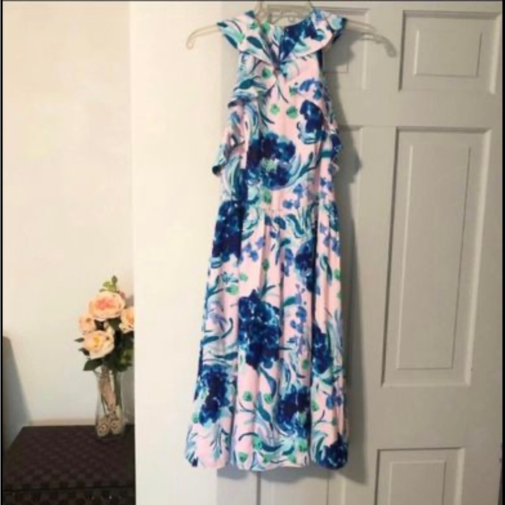Lilly Pulitzer Rory Midi Dress - Picture 4 of 8